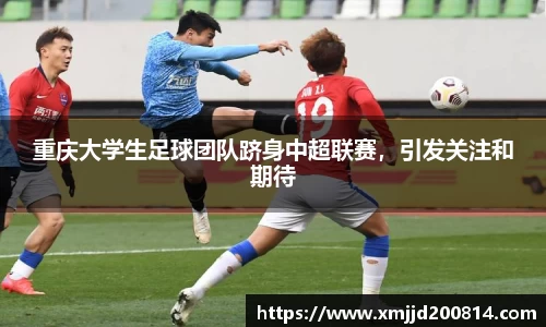 星空.综合体育官网