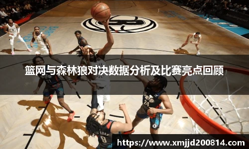 篮网与森林狼对决数据分析及比赛亮点回顾