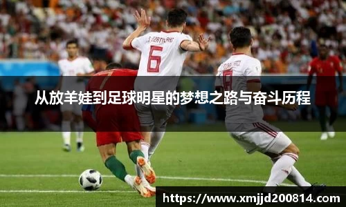 星空.综合体育(中国)官方网站