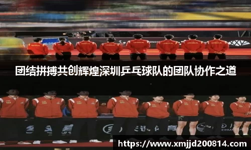 星空综合(中国)官方网站