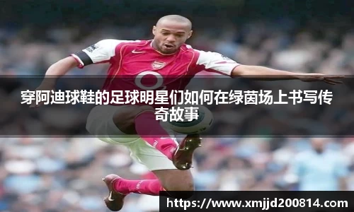 星空.综合体育官网