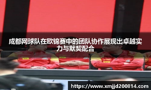 成都网球队在欧锦赛中的团队协作展现出卓越实力与默契配合