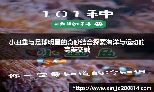 小丑鱼与足球明星的奇妙结合探索海洋与运动的完美交融